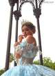 Rachel Allan RQ3149 3D Butterflies Quinceanera Dress