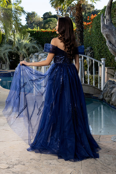 Sequin Evening Gown with Sheer Corset Bodice & Flowing Tulle Overskirt by Royal Queen RQ8224