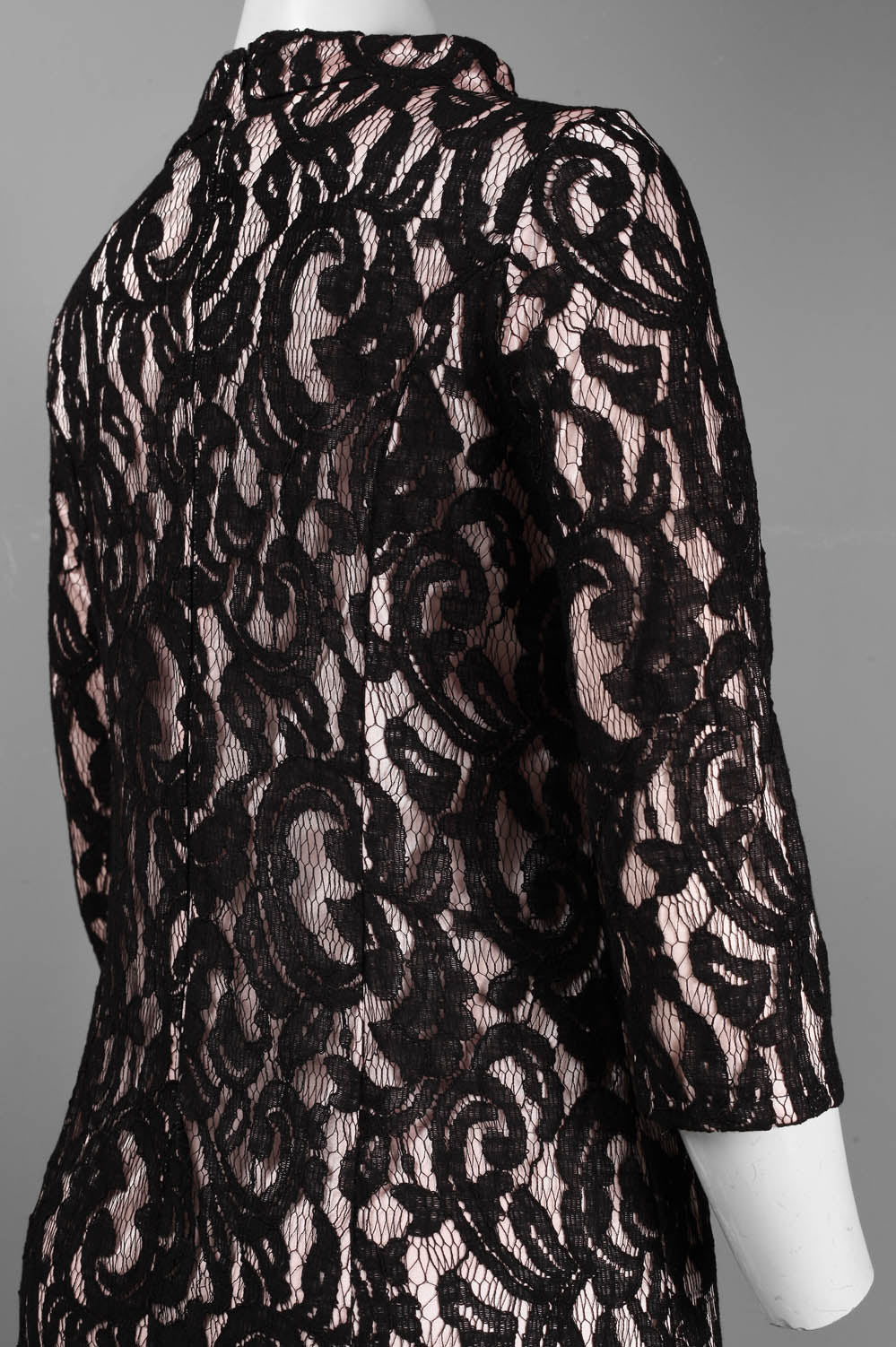 Taylor 5181M Elbow Sleeve High Neck Cotton Lace Overlay A-Line Dress