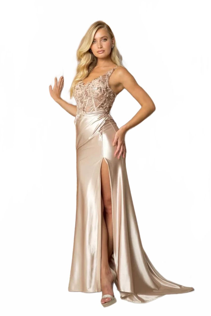 Champagne Wedding Dress Long Bridal Gown and Plus Size By 5256