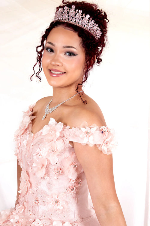 3D Floral Embroidered Quinceanera Dress Off Shoulder Ball Gown by Calla WB21551