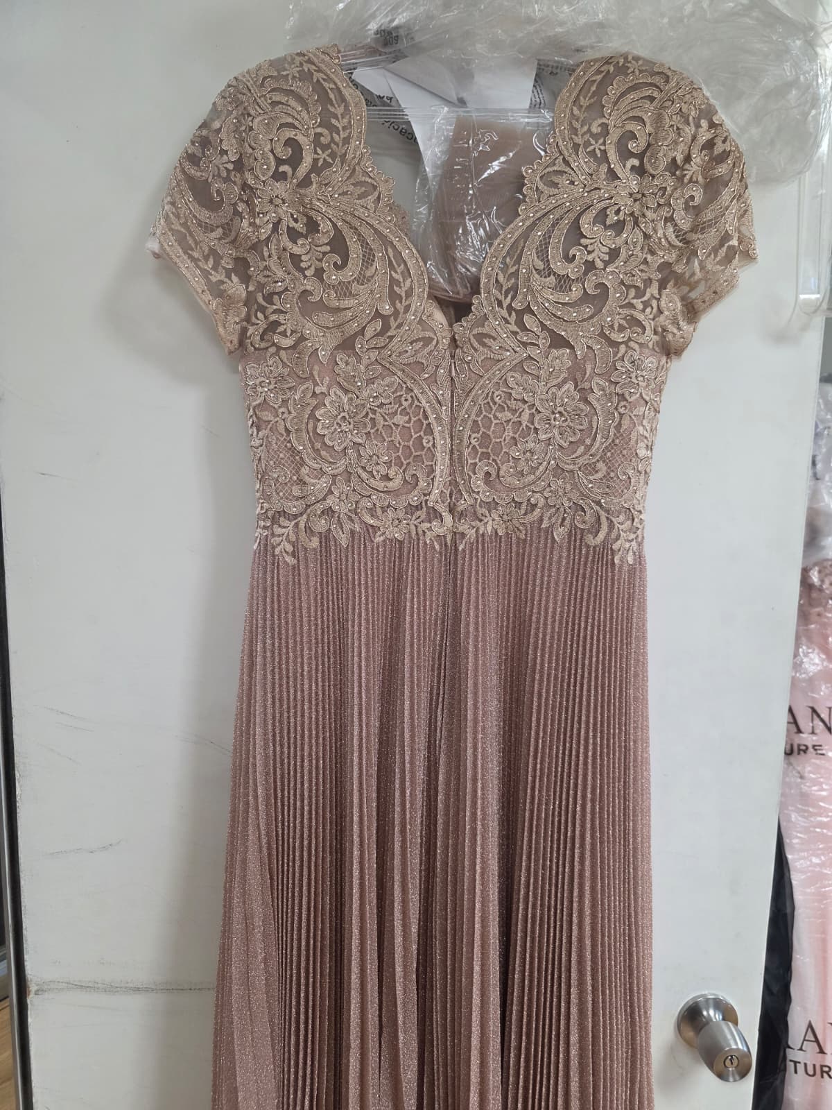 Clearance Blush Size M Short Sleeve Mother Of The Bride Gown By Lenovia 8139