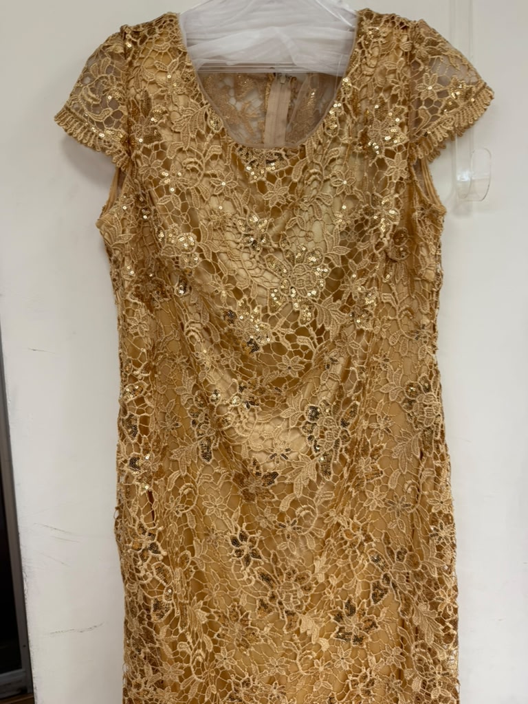 Clearance Champagne Size L Short Mother of the Bride Lace Dress By Eva USA 3473