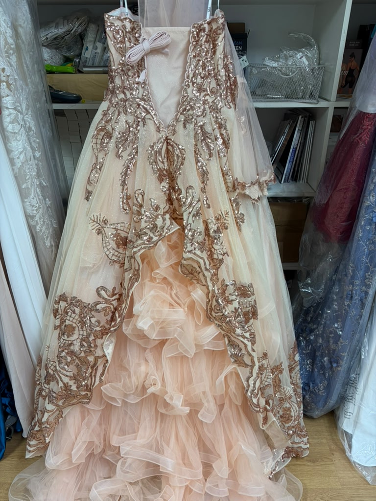 Clearance Champagne Size 2XL Sequin Print Strapless Ball Gown by Elizabeth K GL1914