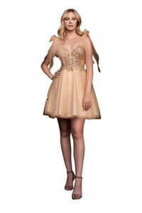 A-Line Dress 2025 Adorned Deep V-Neck Evening Gown - Champagne / XXS - Prom