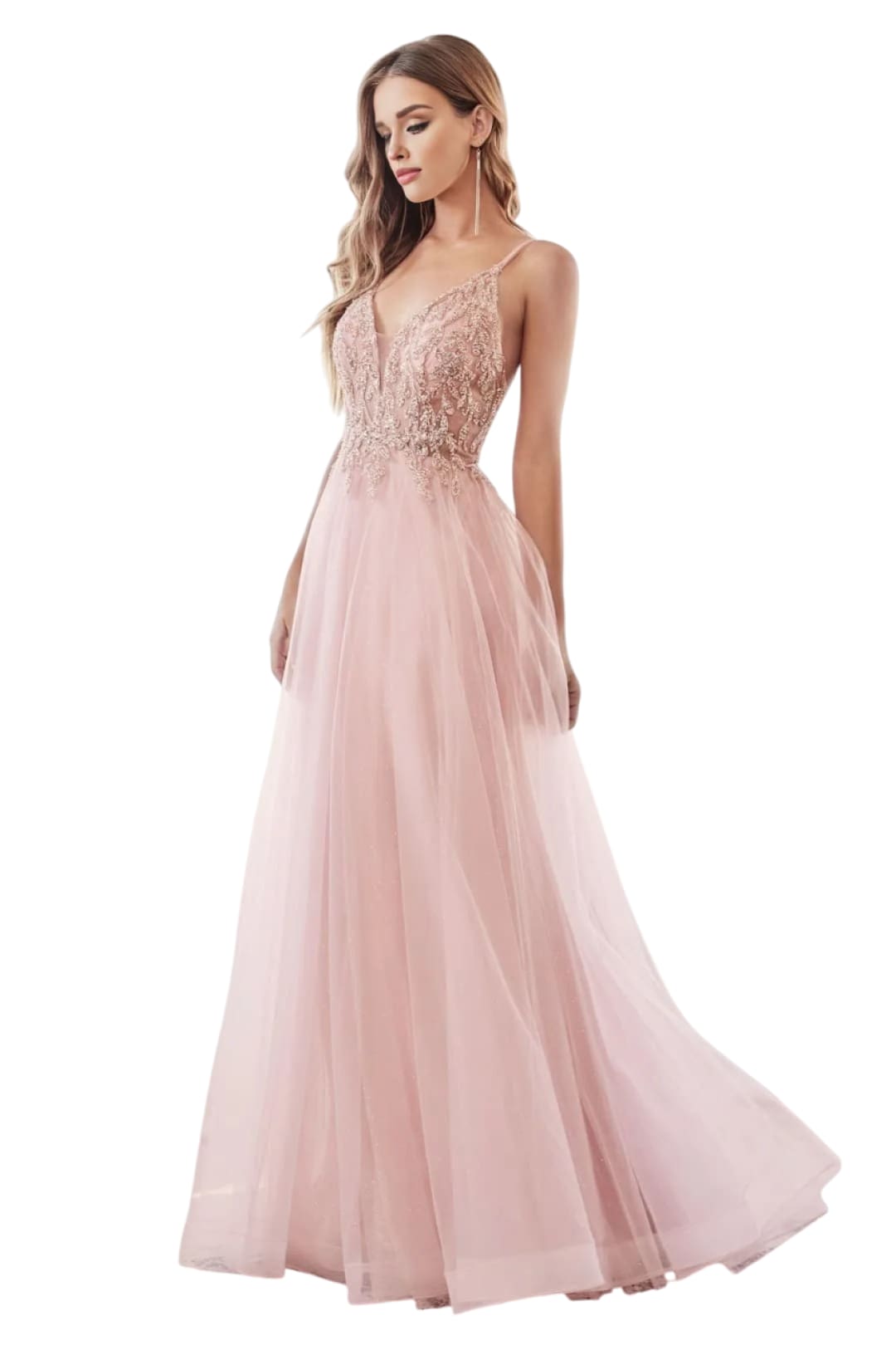 A-Line Pageant Gown 2025 Embellished Formal Evening Dress - BLUSH / XXS - Dress