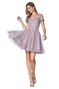 A-Line Silhouette Gown 2025 Elegant Formal Evening Dress - Mauve / XS - Dress