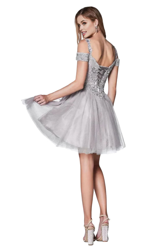 A-Line Silhouette Gown 2025 Elegant Formal Evening Dress - Silver / XS - Dress