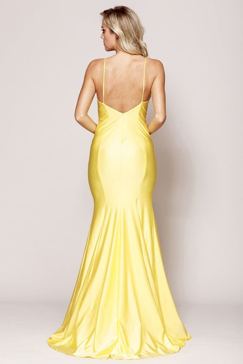 Deep V-neckline Bodycon Dress