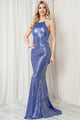 Sleeveless Shinny Dress