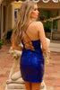 Amelia Couture BZ027S Sheer Slit Short Semi Formal Dress