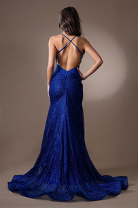 Amelia Couture TM1014 Sexy Backless Adjustable Straps Long Prom Dress - Dress