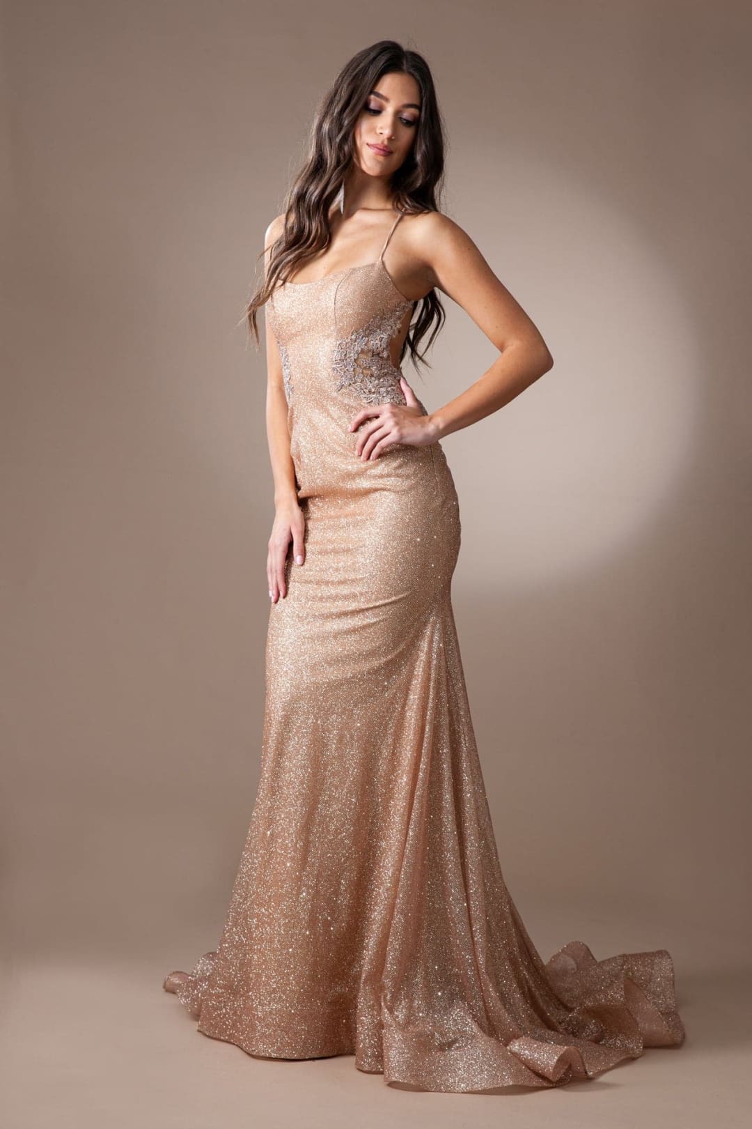 Amelia Couture TM1014 Sexy Backless Adjustable Straps Long Prom Dress - ROSE GOLD / Dress