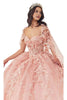 Applique Ornate Ball Gown 2025 Elegant Formal Dress - Blush / XXS - Prom