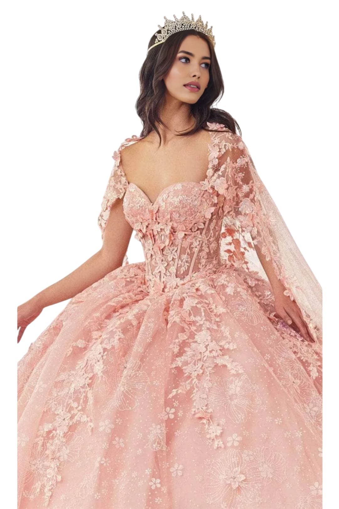 Applique Ornate Ball Gown 2025 Elegant Formal Dress - Blush / XXS - Prom