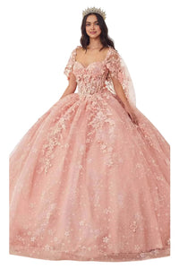 Applique Ornate Ballgown 2025 Elegant Formal Dress - Blush / XXS - Prom