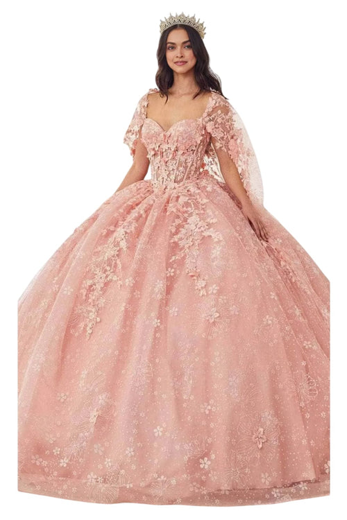 Applique Ornate Ballgown 2025 Elegant Formal Dress - Blush / XXS - Prom