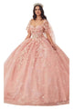 Applique Ornate Ballgown 2025 Elegant Formal Dress - Blush / XXS - Prom