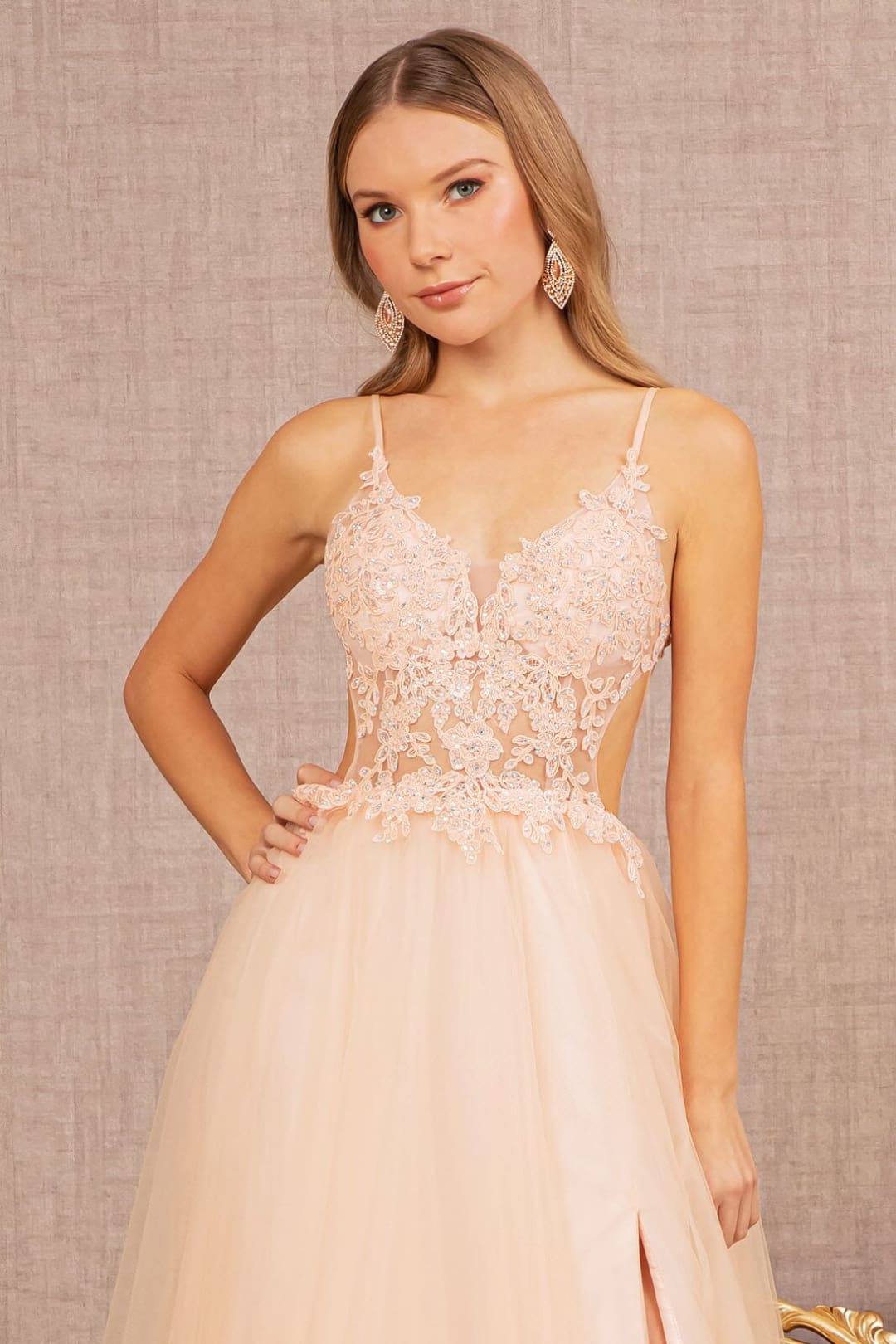 Applique Sleeveless A-line Gown by Elizabeth K GL3152 - Long Formal Dresses