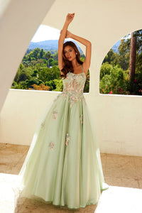 Applique Sleeveless A-line Gown by Juliet JT2565U - Long Formal Dresses