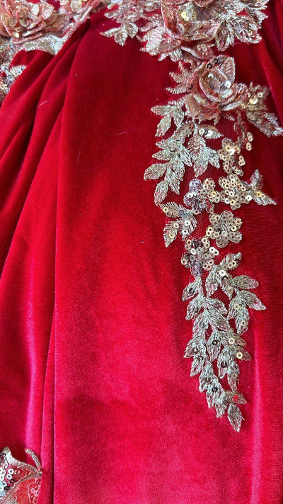 Applique Sweetheart Velvet Ball Gown by Bella Princess PQ1038