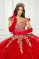 Applique Sweetheart Velvet Ball Gown by Bella Princess PQ1038
