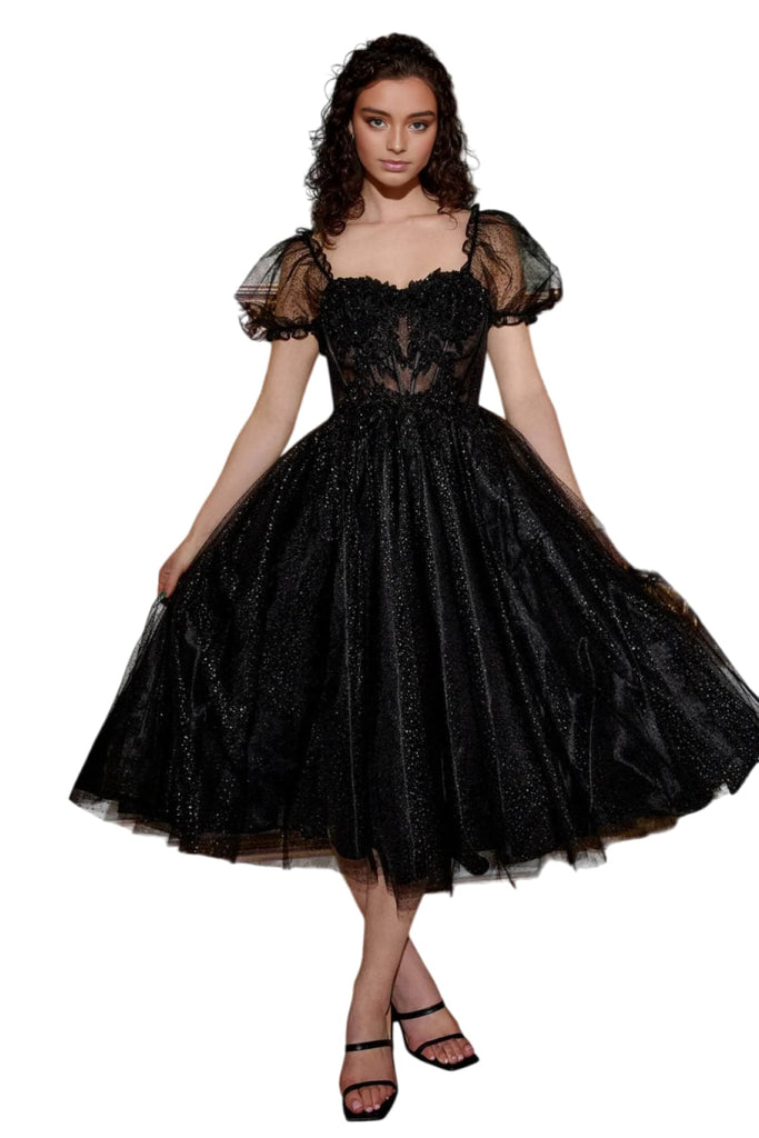 Black Christmas & Holiday Dress 2025 Polyester Elegant Party Gown - Black / XS - Prom