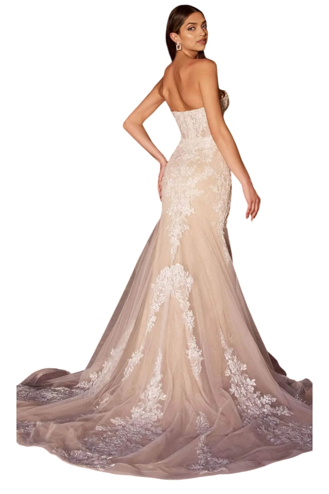 Bridal Dress 2025 Lace Embellished Strapless Wedding Gown - Prom
