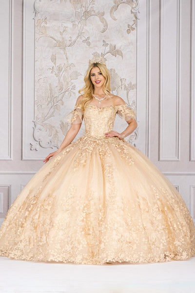 Butterfly Applique Off Shoulder Ball Gown by Bella Princess PQ1021