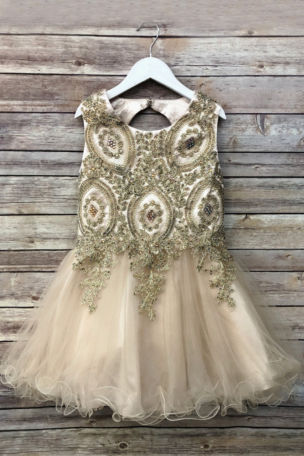 Embroidered Tulle Party Dress for Holidays Birthdays & Special Occasions by Bella Princess C3057