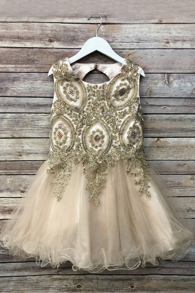 Embroidered Tulle Party Dress for Holidays Birthdays & Special Occasions by Bella Princess C3057