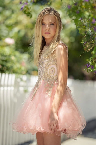 Embroidered Tulle Party Dress for Holidays Birthdays & Special Occasions by Bella Princess C3057