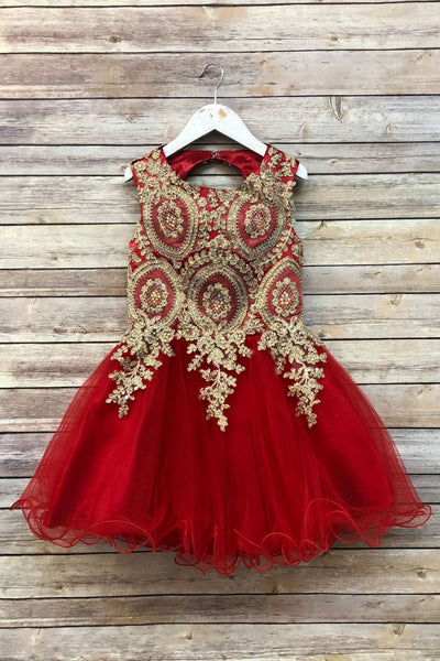 Embroidered Tulle Party Dress for Holidays Birthdays & Special Occasions by Bella Princess C3057