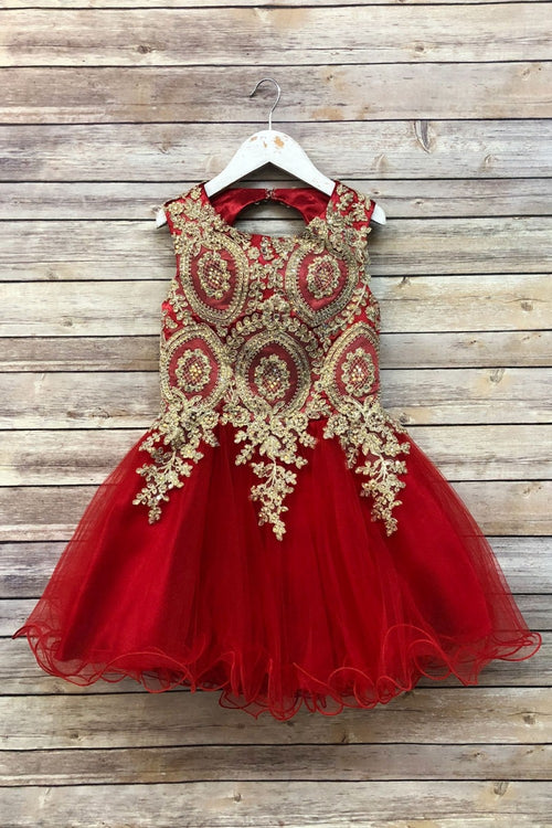 Embroidered Tulle Party Dress for Holidays Birthdays & Special Occasions by Bella Princess C3057