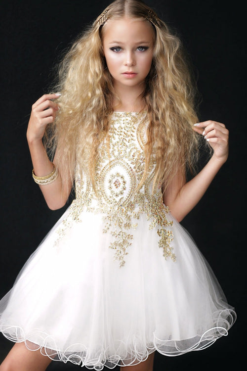 Embroidered Tulle Party Dress for Holidays Birthdays & Special Occasions by Bella Princess C3057