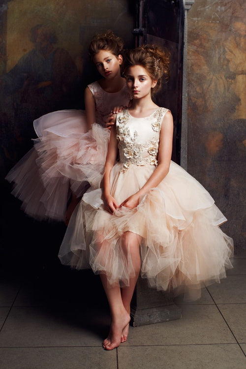 Lace Applique Tulle Ball Gown for Special Occasion Dress with Layered Skirt by Bella Princess C325