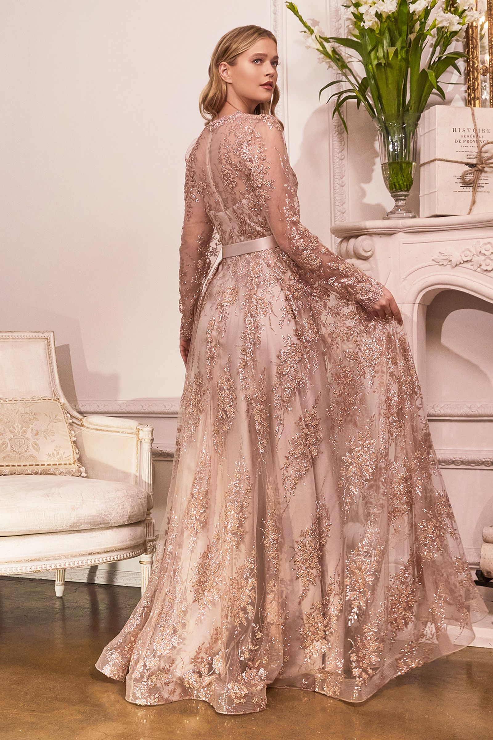 Ladivine Mother of Bride Dress V-Neck Long Sleeve Evening Gown CD233-New Collection