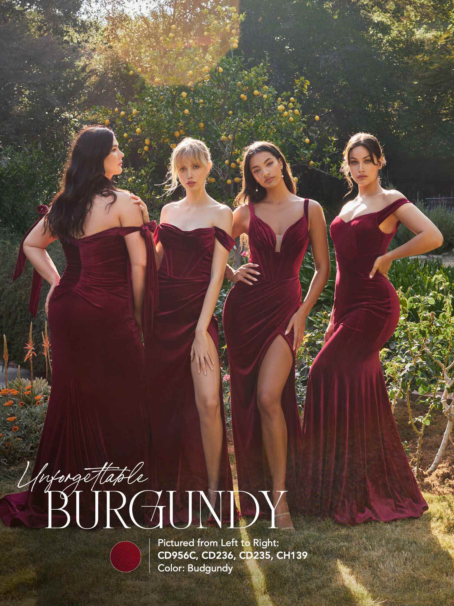 Ladivine CD235 Velvet Fitted Dress for Elegant Occasions