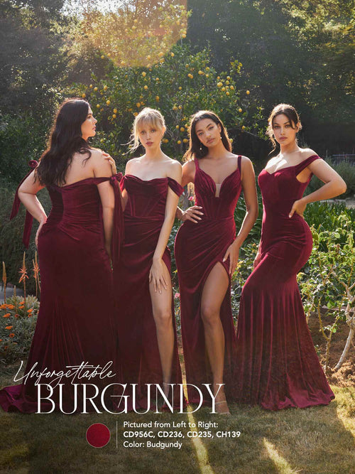 Ladivine CD235 Velvet Fitted Dress for Elegant Occasions