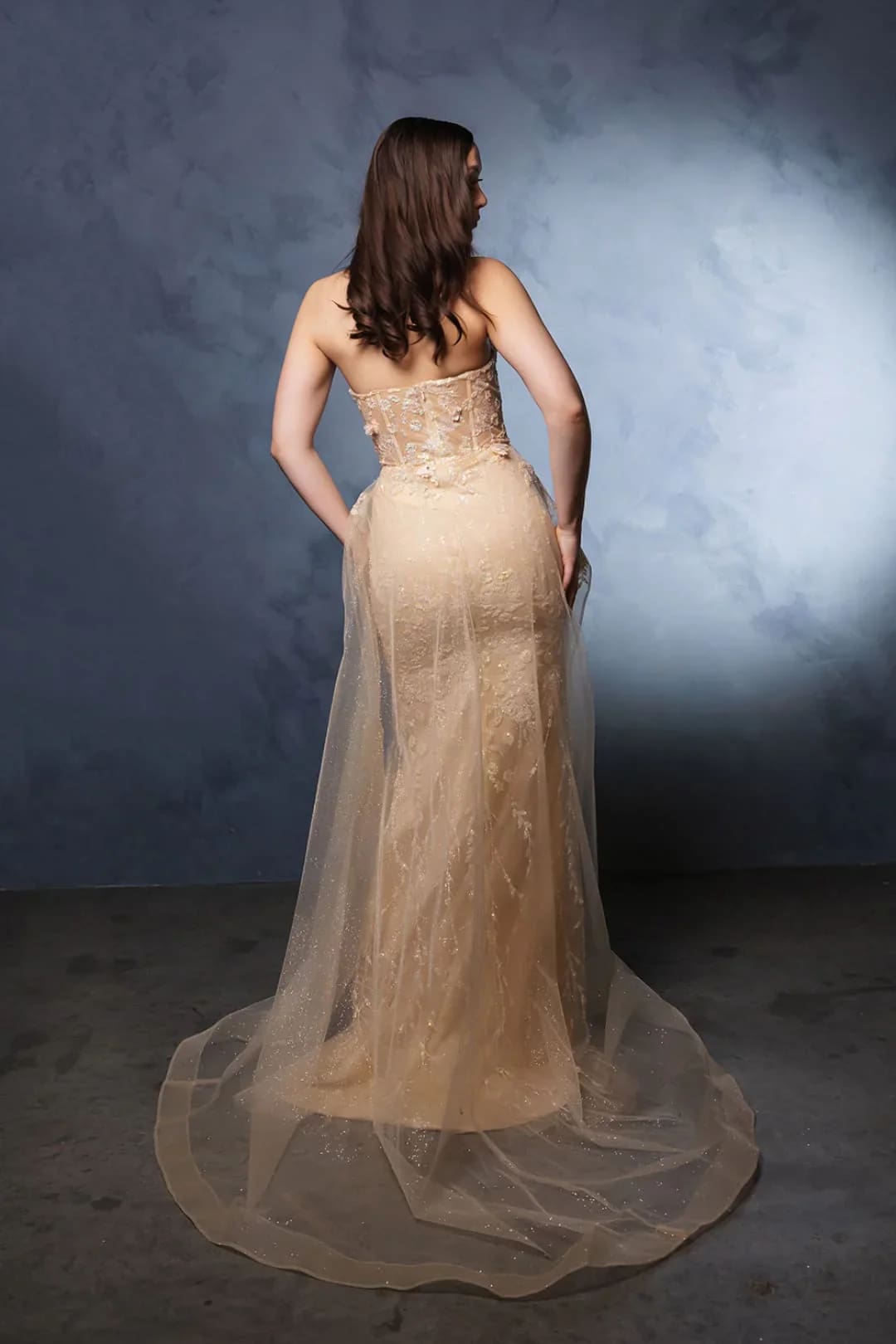 Champagne Wedding Dress Long Bridal Gown and Plus Size By RQ8116