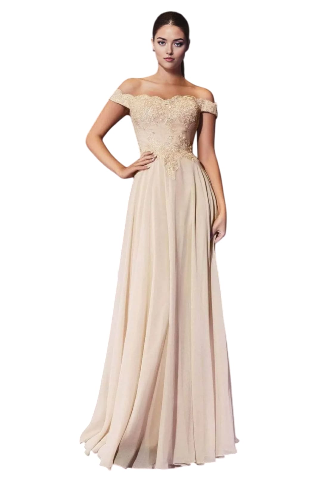 Chiffon Lace Embellished A-Line Gown 2025 Elegant Formal Dress - Champagne / XS - Prom