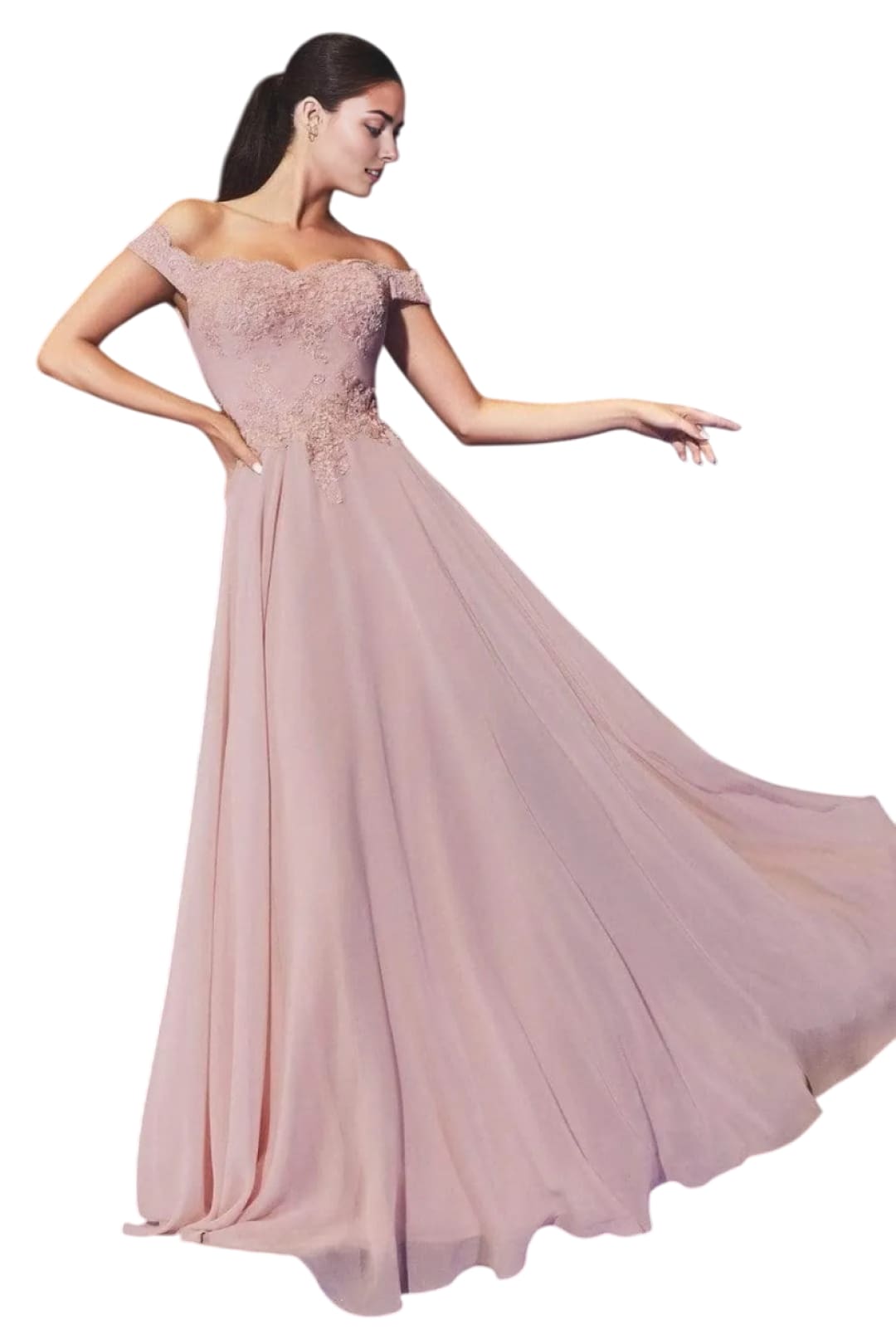 Chiffon Lace Embellished A-Line Gown 2025 Elegant Formal Dress - Mocha / XS - Prom