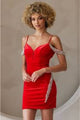 Christmas Dress in Red Velvet Sheath Style For A Holiday Party - Red
