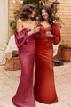 LA Merchandise LAR7482 Long Sleeve Bridesmaids Simple Long Dress - SIENNA / 6 - Dress