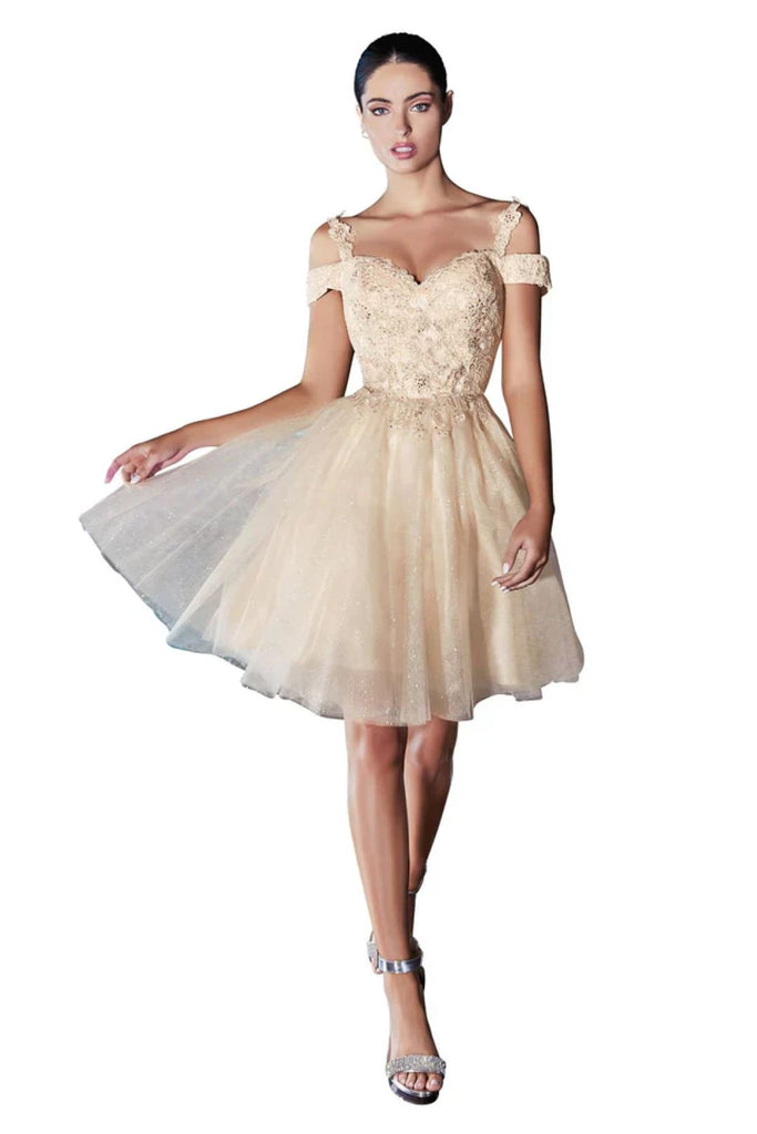 Cinderella Divine CD0132 A-Line Silhouette Gown - Champagne / XS - Dress