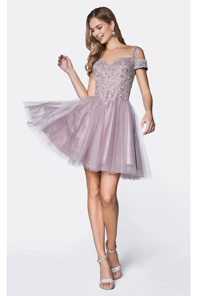 Cinderella Divine CD0132 A-Line Silhouette Gown - Mauve / XS - Dress