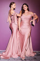 Cinderella Divine CD943 Plus Size Off Shoulder Bridesmaids Evening Gown - MAUVE / 18 - Dress