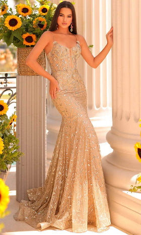 Clarisse 811178 Formal V-Neck Lace Corset Glitter Floor-Length Lace Dress