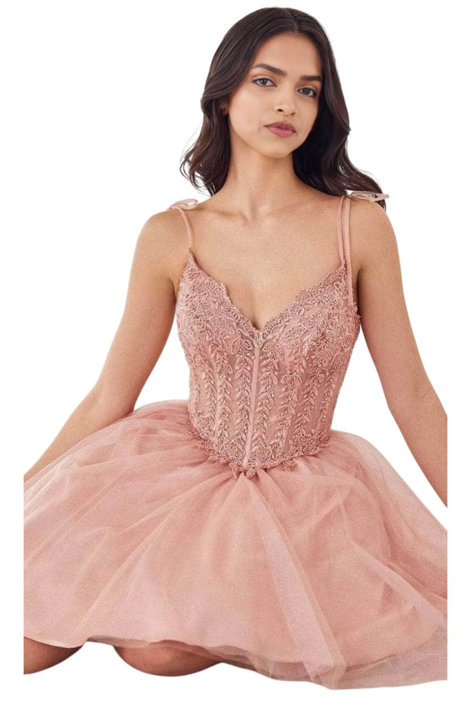 Cocktail Dress 2025 Ribbon Strap Elegant Party Dress - Blush / XXS - Prom