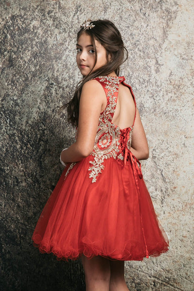 Embroidered Tulle Party Dress for Holidays Birthdays & Special Occasions by Bella Princess C3057